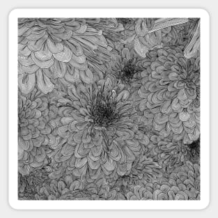 Linework Flowers- Zinnias Sticker